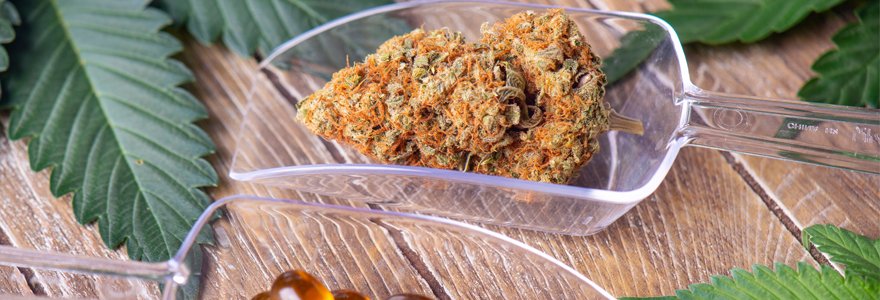 CBD