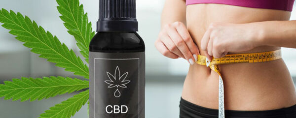 cbd perte de poids